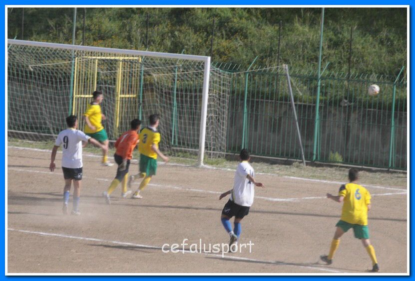 130406 delfini 045_tn.jpg